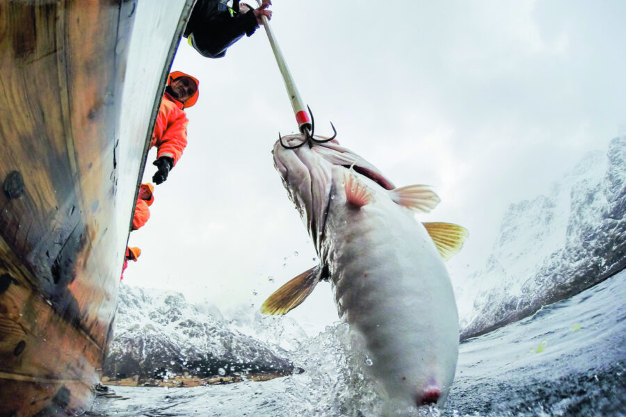 Fisketur i Lofoten